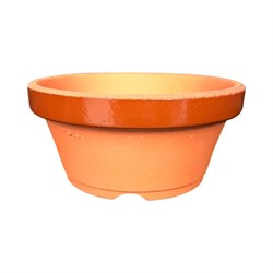 Bonsai Pot